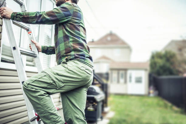 Best Construction Debris Removal  in Newton, MS